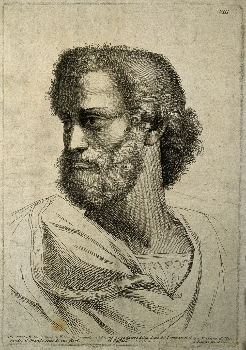Young Aristotle